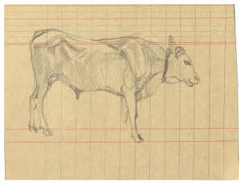 Visualizza l'immagine "FD D 244"